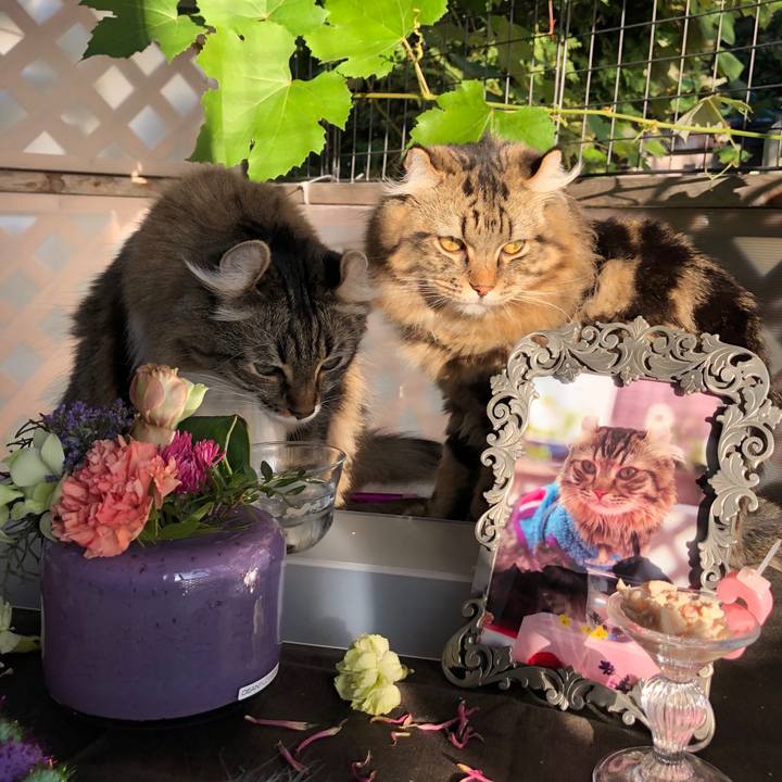 01f3dd65 4131 4fba 8757 2e9840e19839 1574084528486