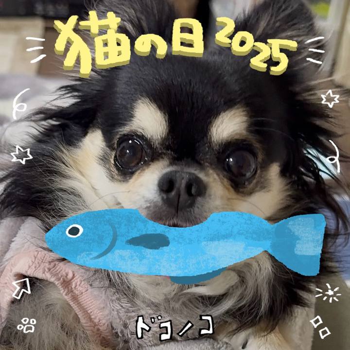 01f3f375 0f48 4fd6 b30f 945c41e32f18 1740183562773