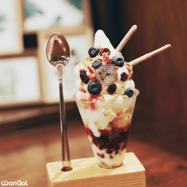 01f406b1 6fa9 4dcc 8430 1cbb9958415e 1639726476481