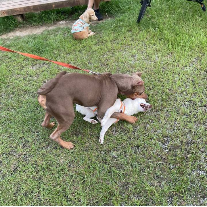 01f4298d 72f0 48d8 a505 5d9cec646358 1689167319236