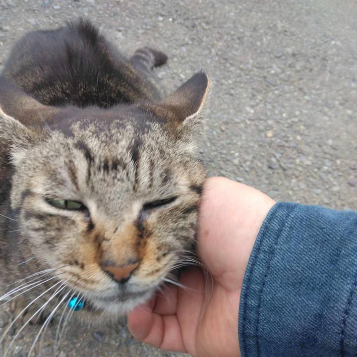 01f43d0a 6047 4e43 b690 a840d929a3a4 1712537608257