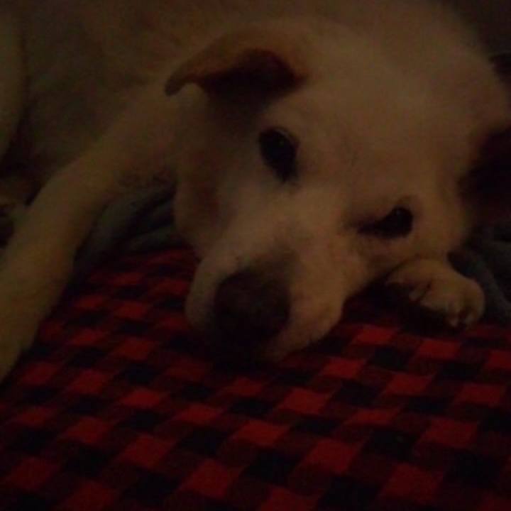 01f453d9 2576 4624 9532 ba93d47b79ad 1524516054517