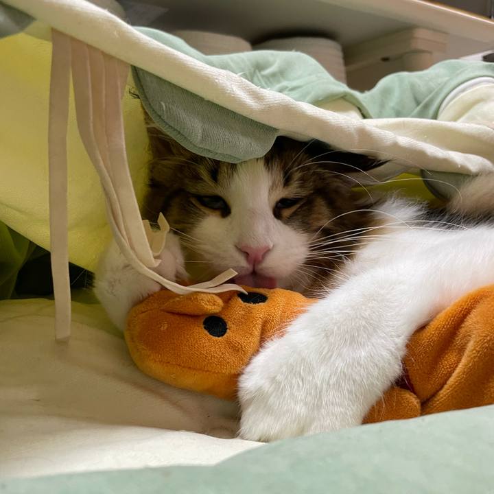 01f47f34 1272 4f0e 952a 772e2a0b46f8 1640262864816