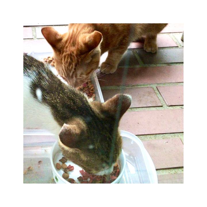 01f484e9 089d 41e9 acbf 4ecc47db4d53 1631704949720