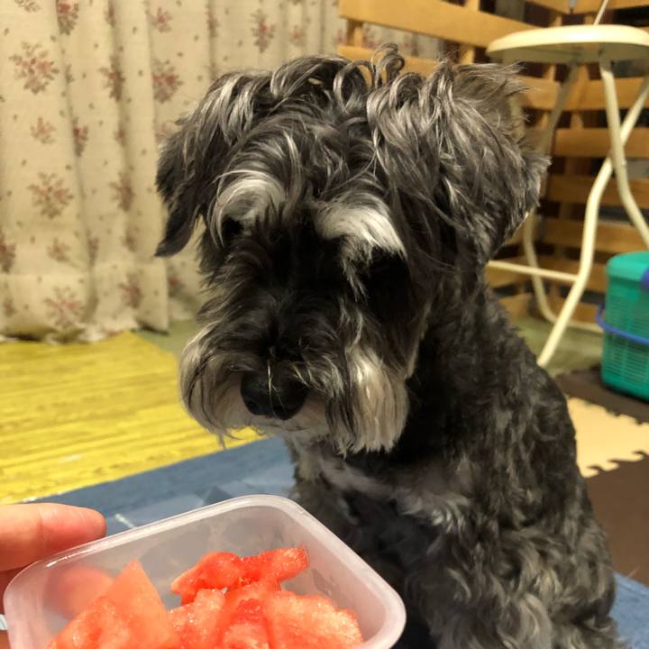 01f489cc 6fae 4a61 95af f4bdf42c7253 1691241689860