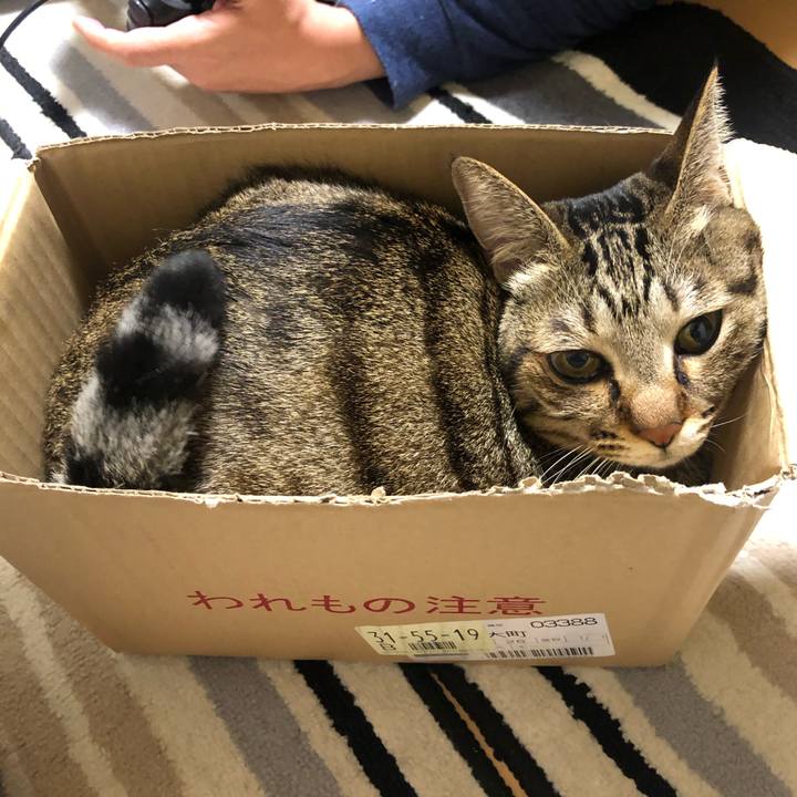 01f4971f 3cc3 44f9 b08c 29fdbdabd223 1606595343583