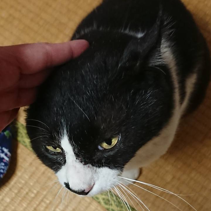 01f4f2d9 4478 4171 be27 cbdce465700f 1559258205643