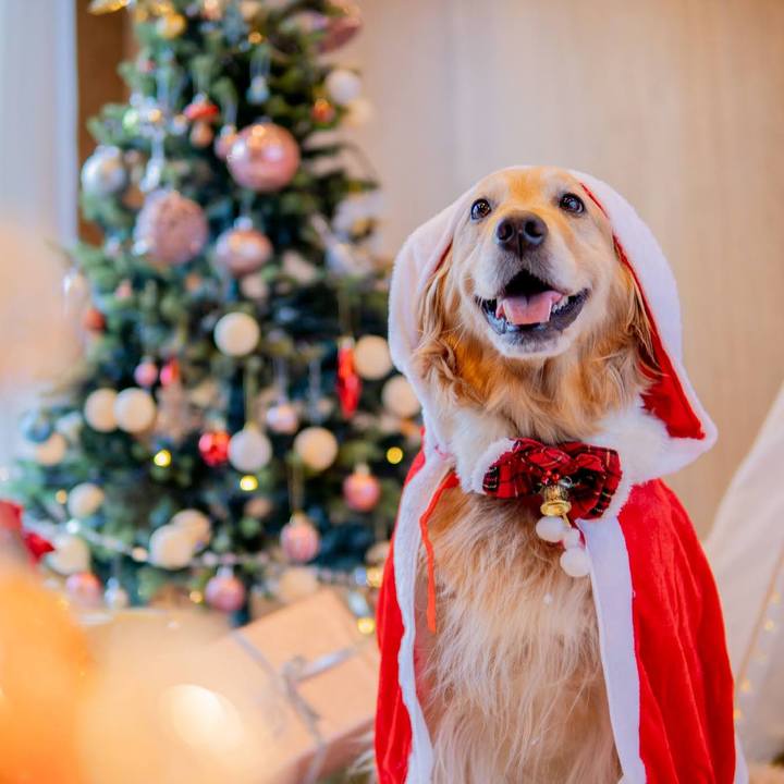 01f50718 6cef 4f14 9502 338b6e27e999 1640329658460