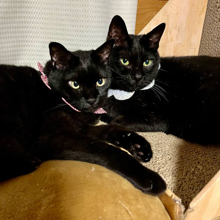 01f53357 76e8 4cfc 9a10 38b3bd711123 1716384373509