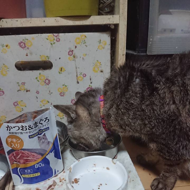 01f53d83 0c62 45d1 9b73 11d25f5e94ec 1596885787026