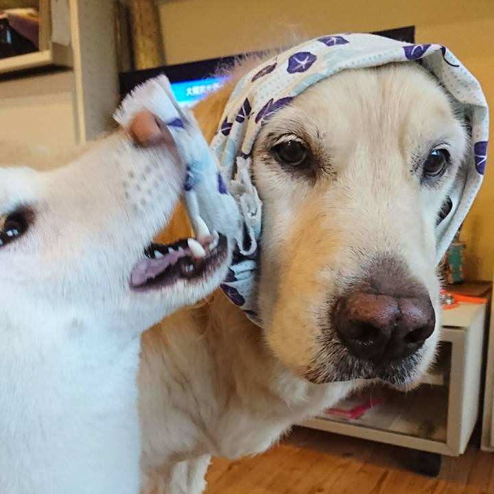 01f56cd0 2791 4630 a88a b0bae98fcc25 1548216380825