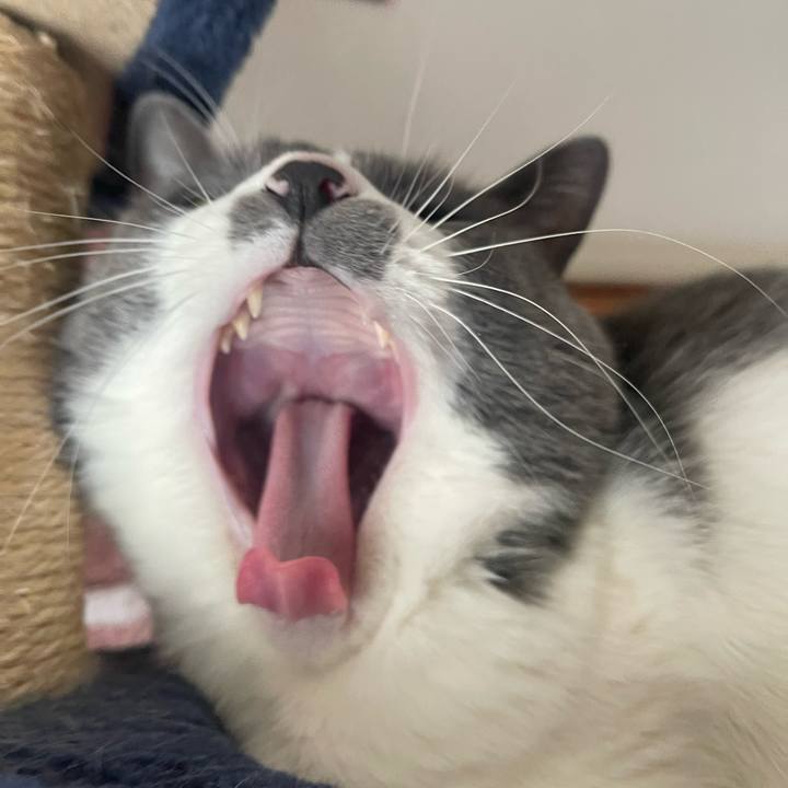 01f59316 ffd2 4dde b4b8 a565b9dac24f 1677977663964