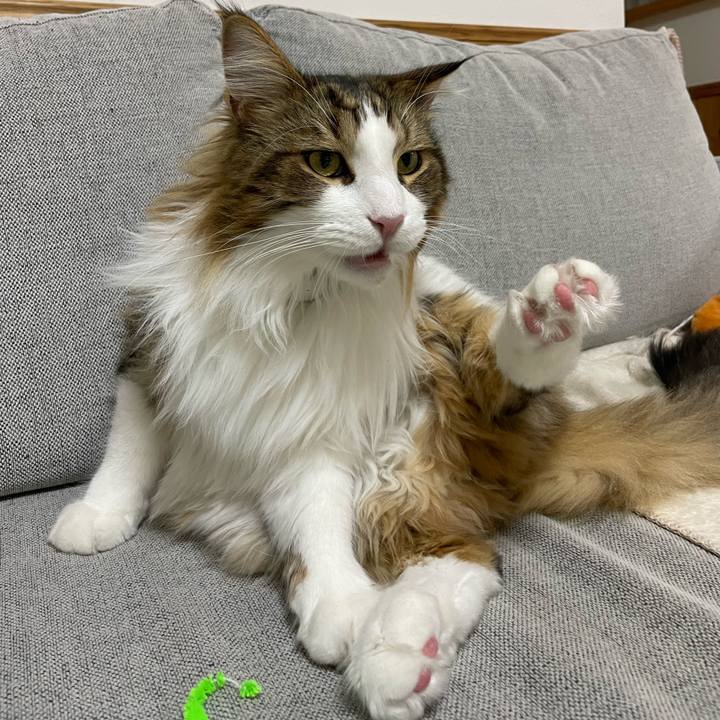 01f5e93a b707 44b8 9e12 23ea18208d38 1669544690129