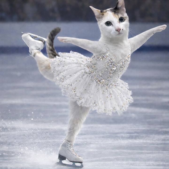 01f5e955 1dc5 4a44 9cd3 cce3cdcb8dba 1771238439022