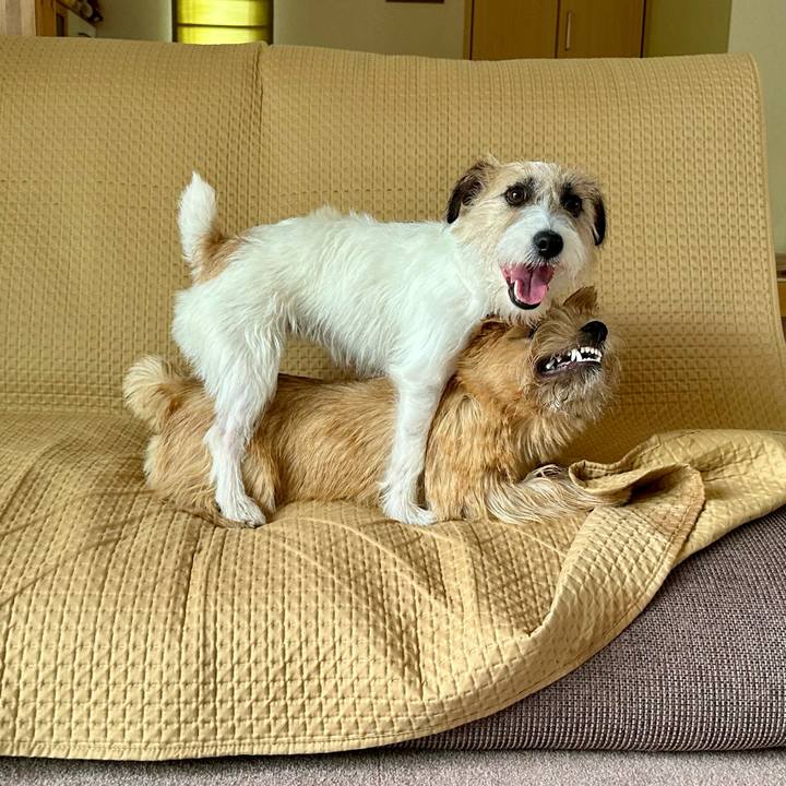 01f5f986 8911 4891 82f1 e033ada02425 1723275546184