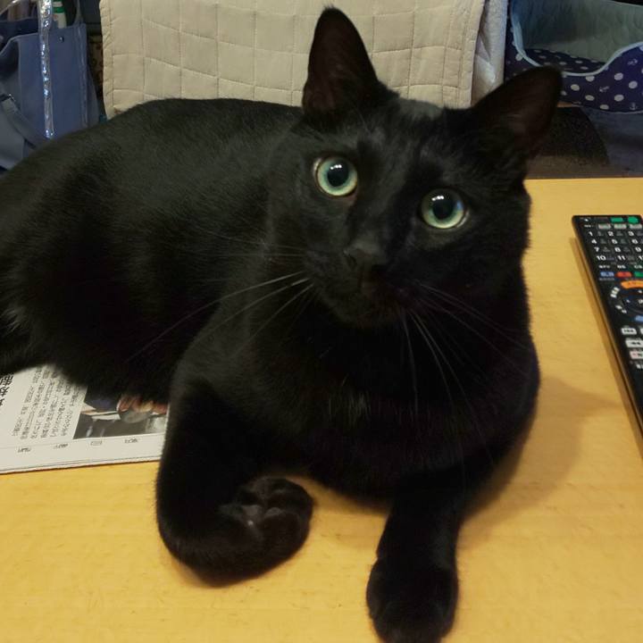 01f5fec0 c61e 431d aa82 c5764b55c424 1623796357225