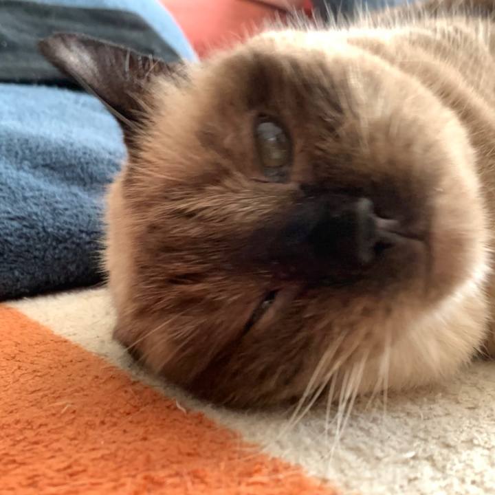 01f60d5b e72f 485c 8487 84d40224d1ef 1632874294798