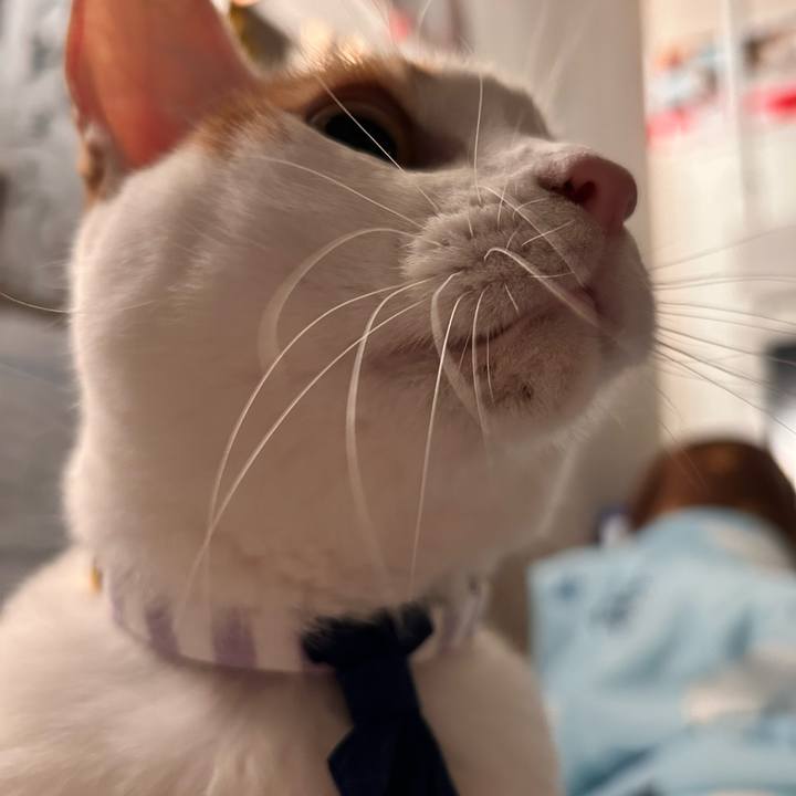 01f62d3f fd75 4451 a06a d5601e92b9e2 1760006892279