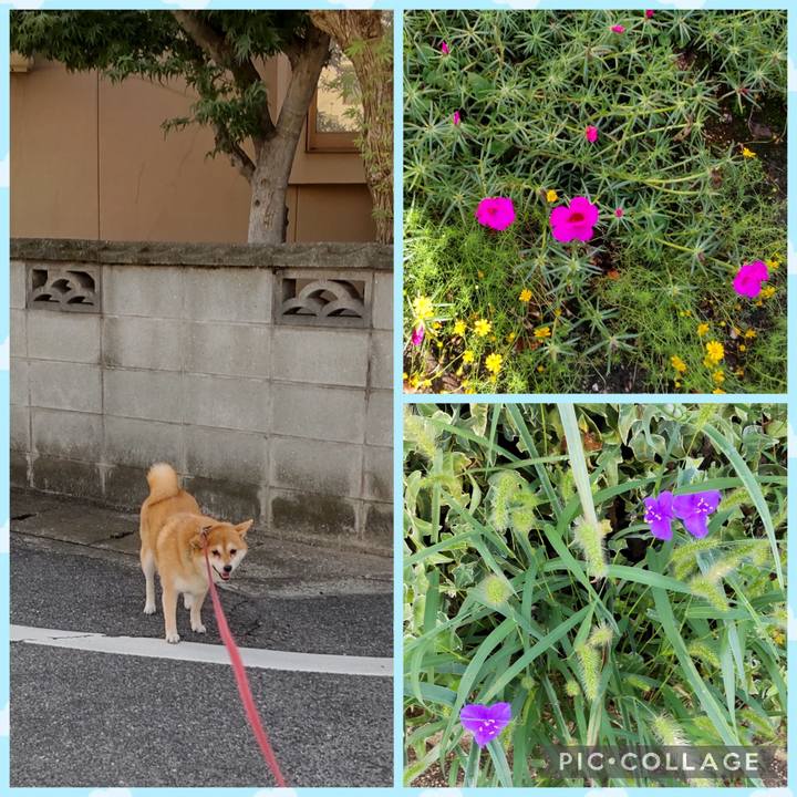 01f689b8 c7bd 466b b098 e897023e93ae 1759198936617