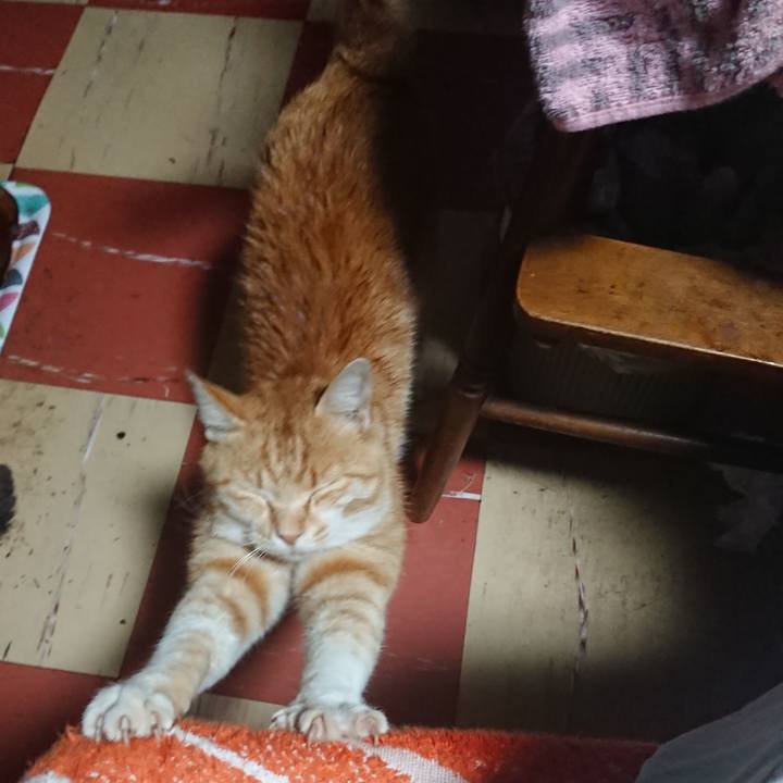 01f695b9 f7e4 4413 83c5 0ea11271975a 1589831903059