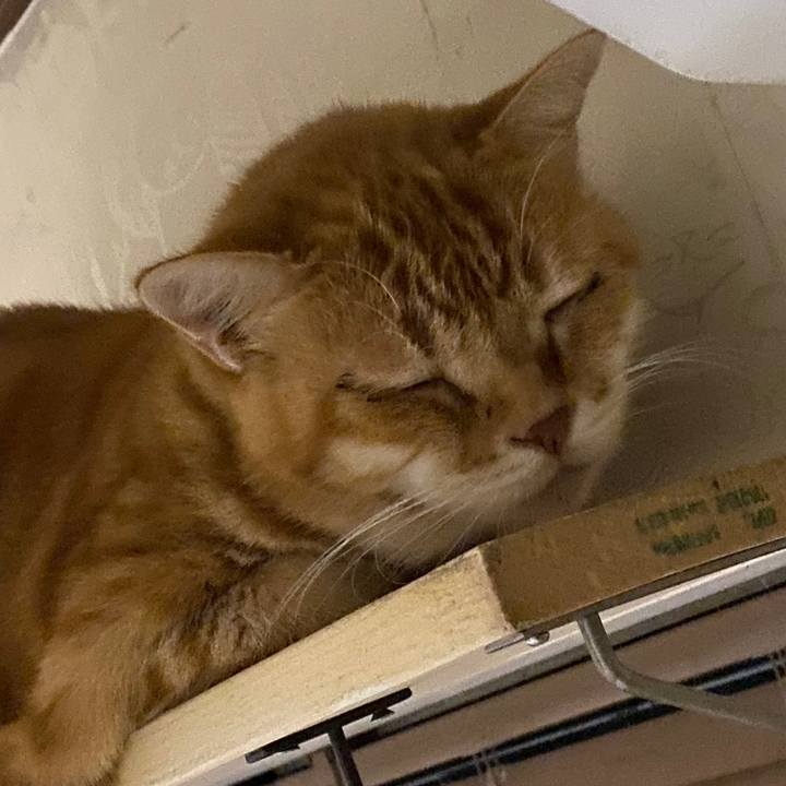 01f6bb4a 6d1b 47db 9959 a32d670793aa 1603791259615