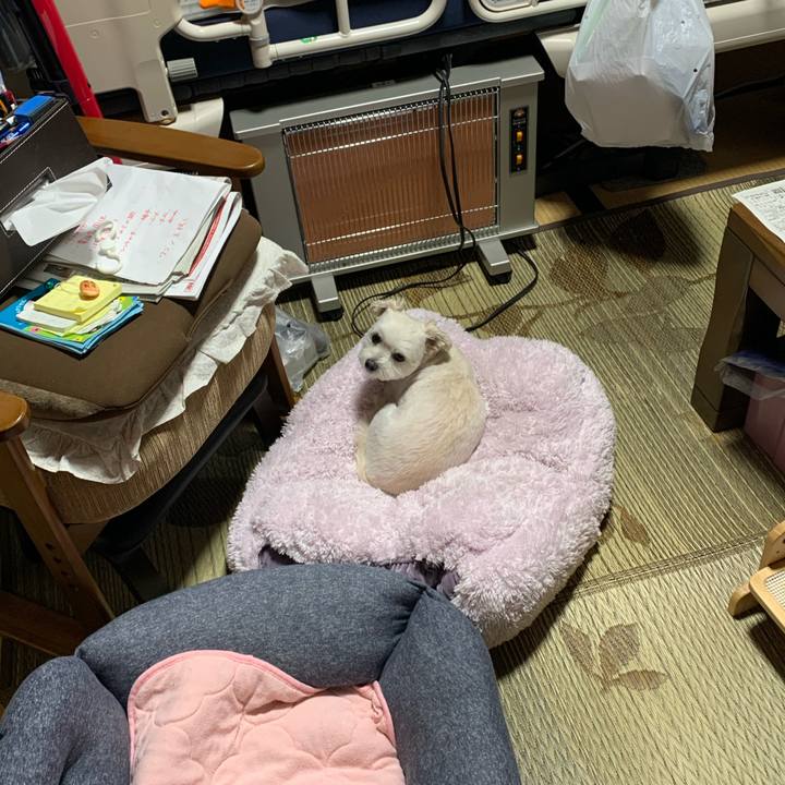 01f6c63f b4e7 49cb 8ce7 204344e6b31f 1571313783063