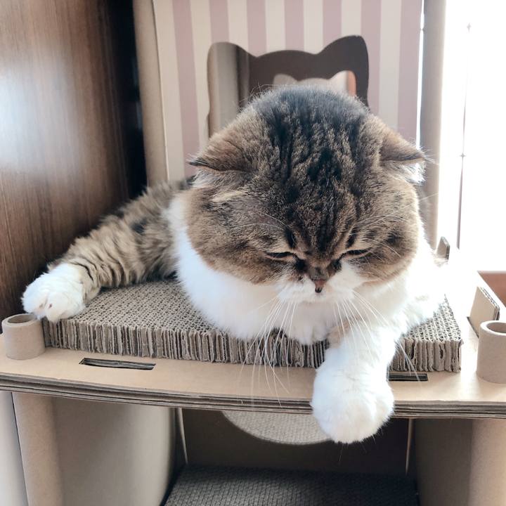 01f6cf8e f4e2 4afe 891d ea8e1e0a8a00 1604444158860