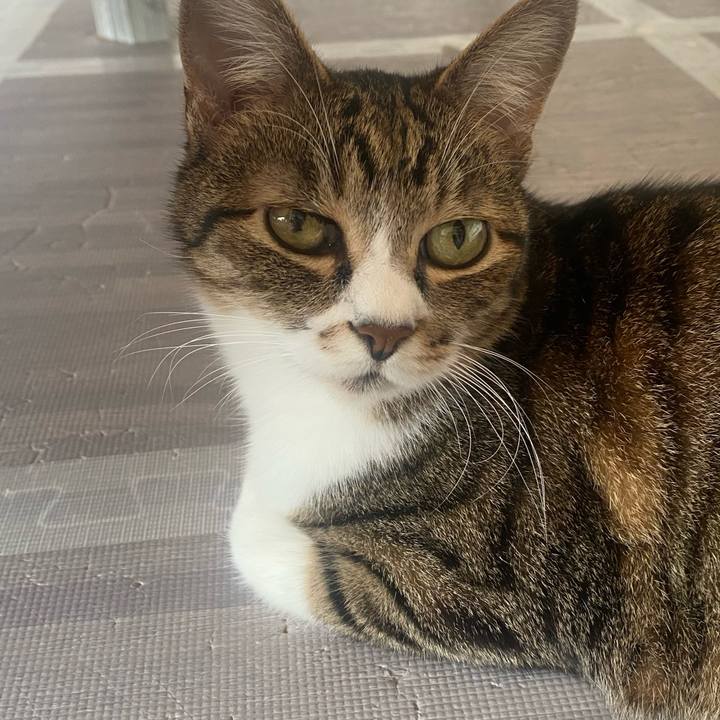 01f6f0b9 c920 400f 8a75 79216732ab7a 1622334911408