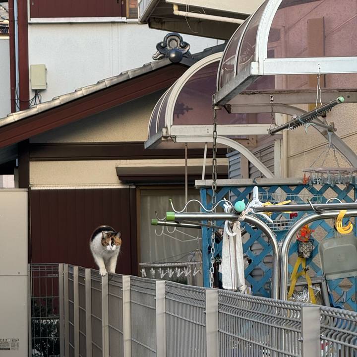 01f6f65e ebda 4b26 814e 606724734f08 1773538102546