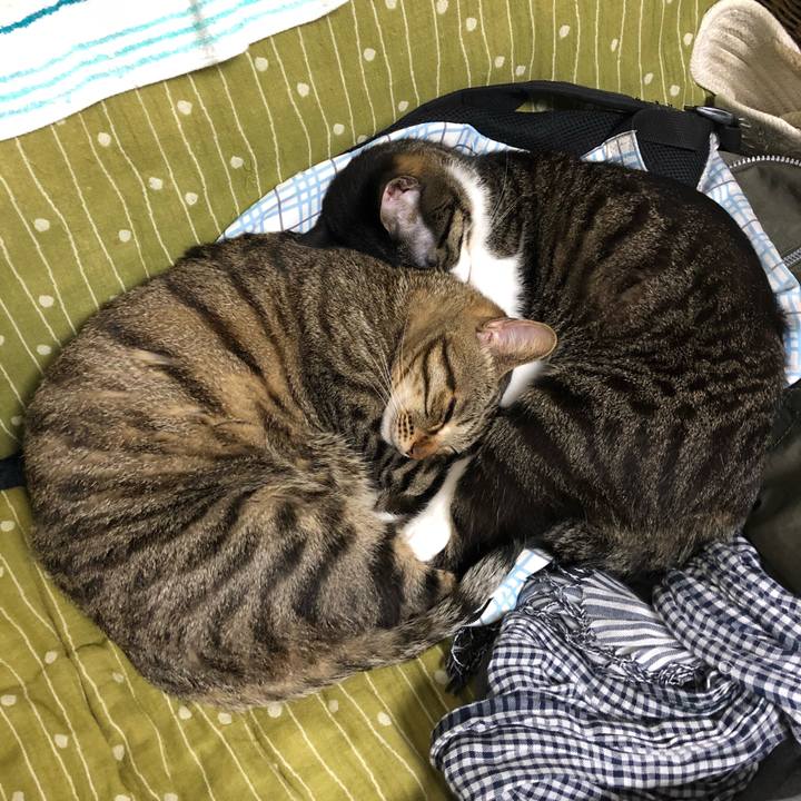 01f765ce 47cc 447b 9607 82a0a832241c 1524535994601