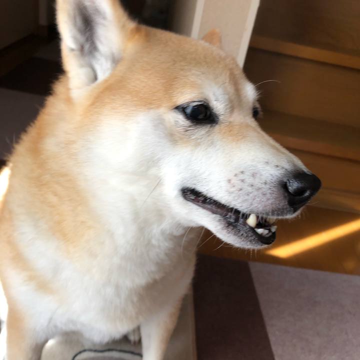 01f78cc1 1324 4a83 8b6f 0d08de9fff3b 1607731089755