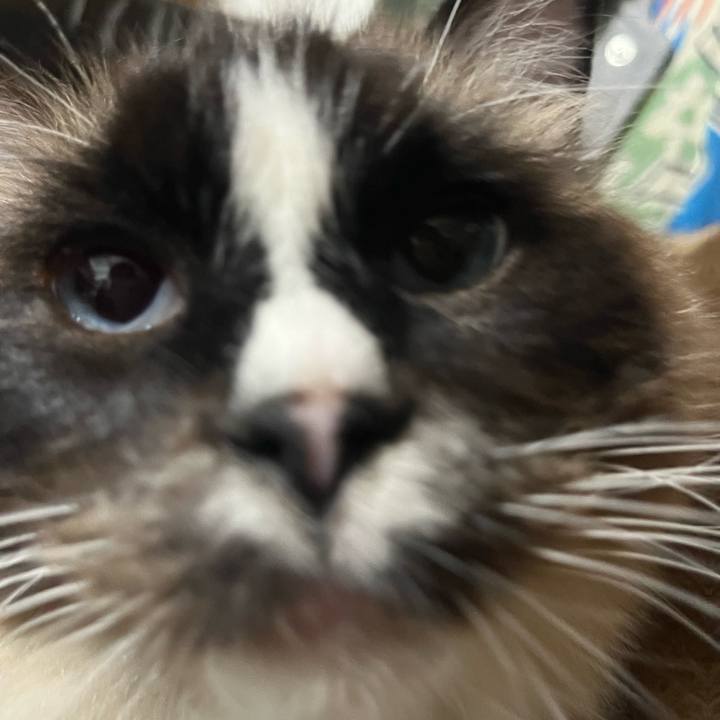 01f79fa0 f34e 41a1 8638 980929c3f9a2 1711060209941