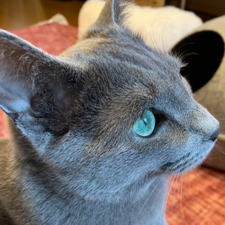 01f7aa24 ecd0 4d78 a499 bd698a6e5902 1625101425629