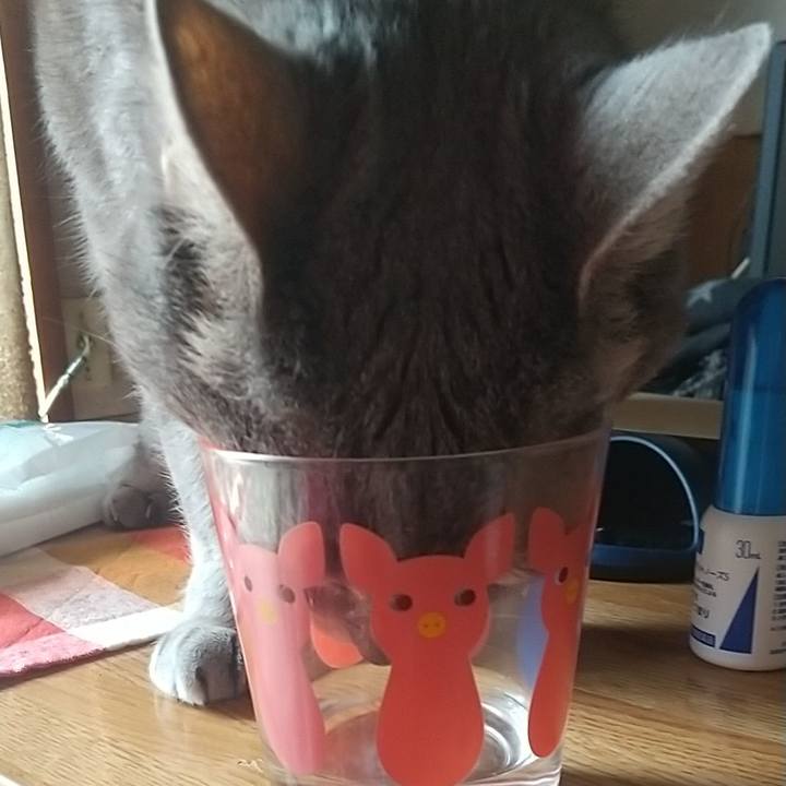 01f7ad8b 0063 4b14 895c c8c528ac1cc3 1679622464693