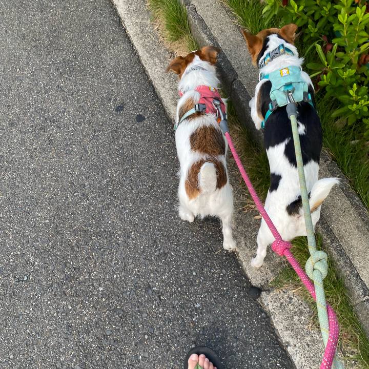 01f7dc06 52f8 4ff5 bb75 da4a4b0a7fc2 1755469700453