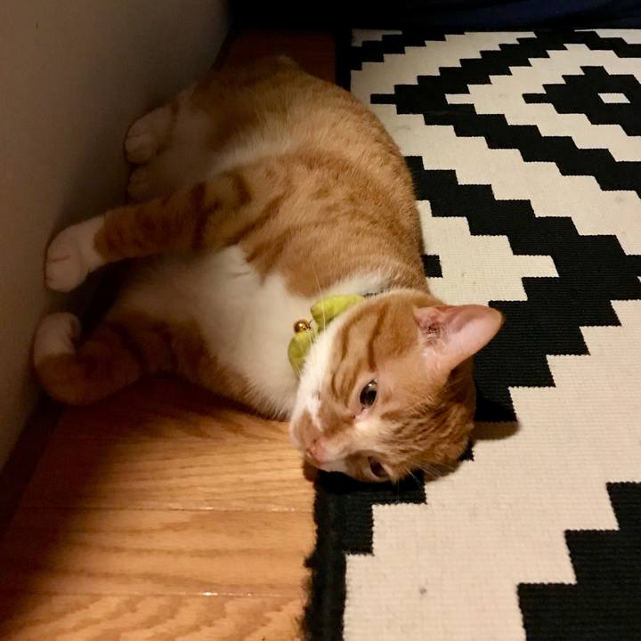 01f7e7dc 3f01 4f84 873b 12d6814b6105 1531231875580