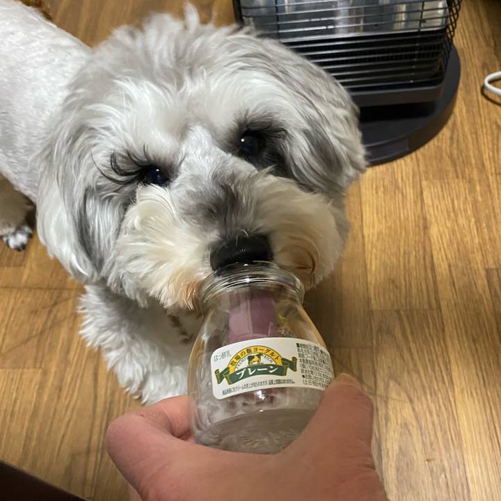 01f7ee32 c8ed 47ce 89a8 c74d8d0b3f80 1648826099549