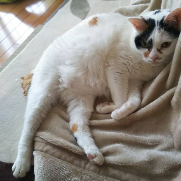 01f7f0d6 1e89 4f20 9ec4 3f9bde523d66 1574898396433