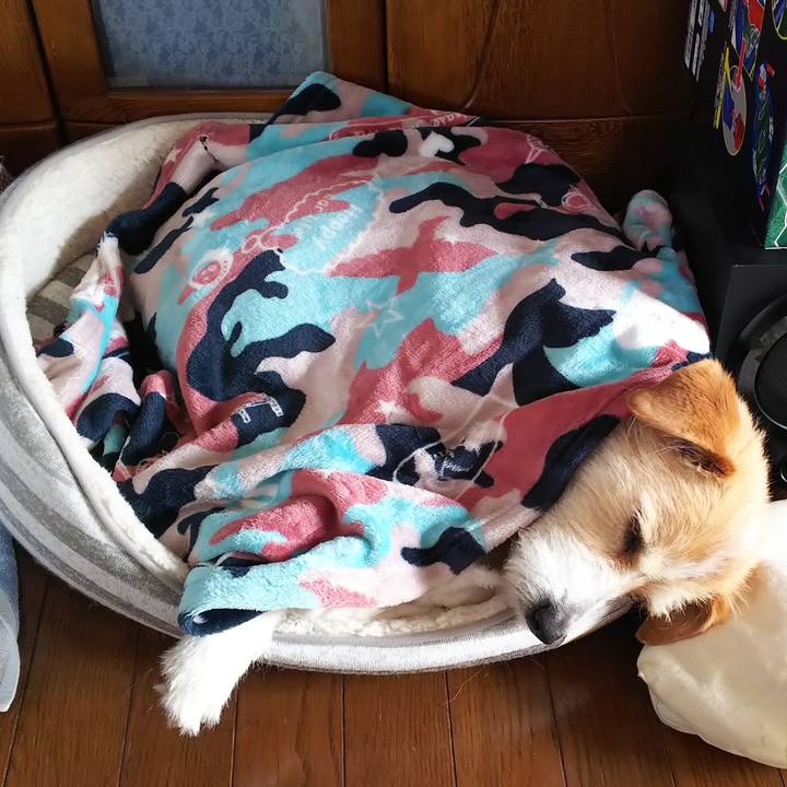 01f7f2c4 d8a7 4517 abf8 9d559b5a065a 1555210140831