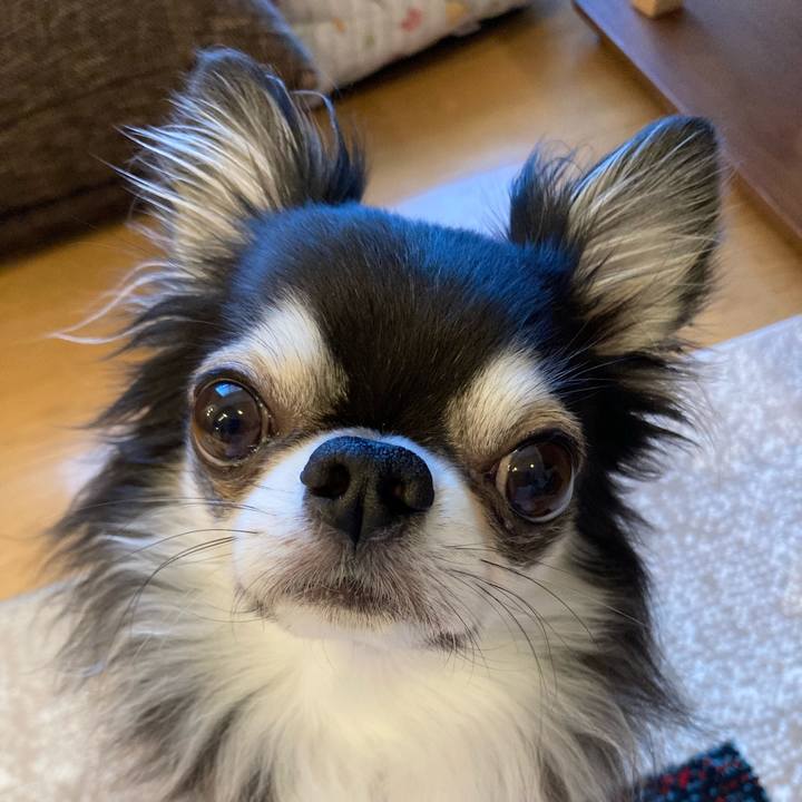 01f8006e f112 4277 a48b d003cccdcc75 1708730717590