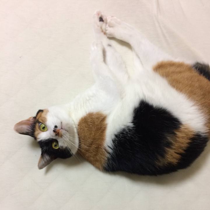 01f800db d812 463d 989b a29f67443846 1569746064835