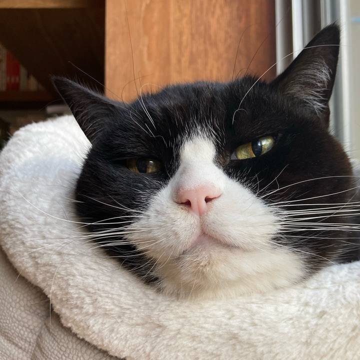 01f87e23 67ab 47c7 bfa8 9c1f60d6065d 1610157917671