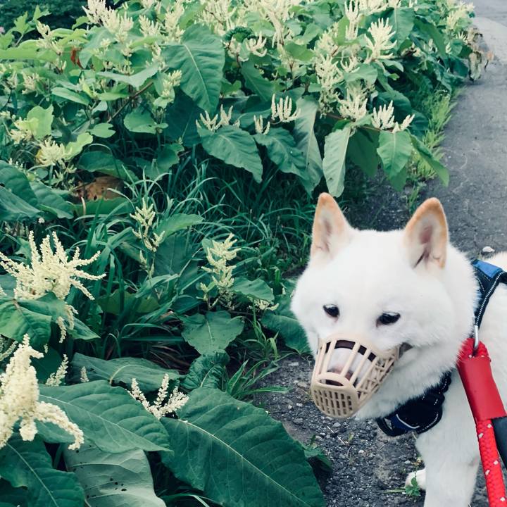 01f8ad9b 3c19 4c3f a347 158a6d8a394b 1661459858441