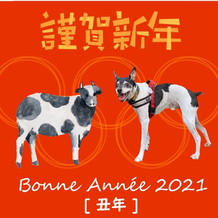 01f96193 99ea 4cb5 9960 93ddc0aa6f93 1609430445470