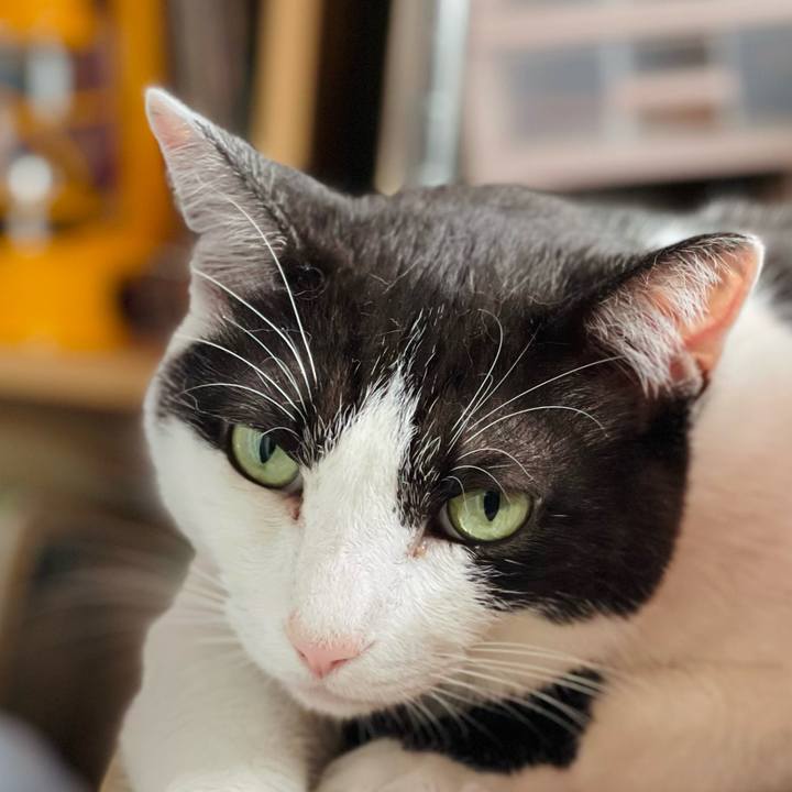 01f99471 3814 4b53 8f32 6005d0a65795 1657937723389