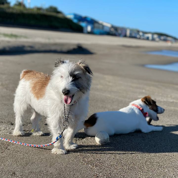 01f9ac4f c495 4721 8c78 b05ff3f4ad8e 1632530846945