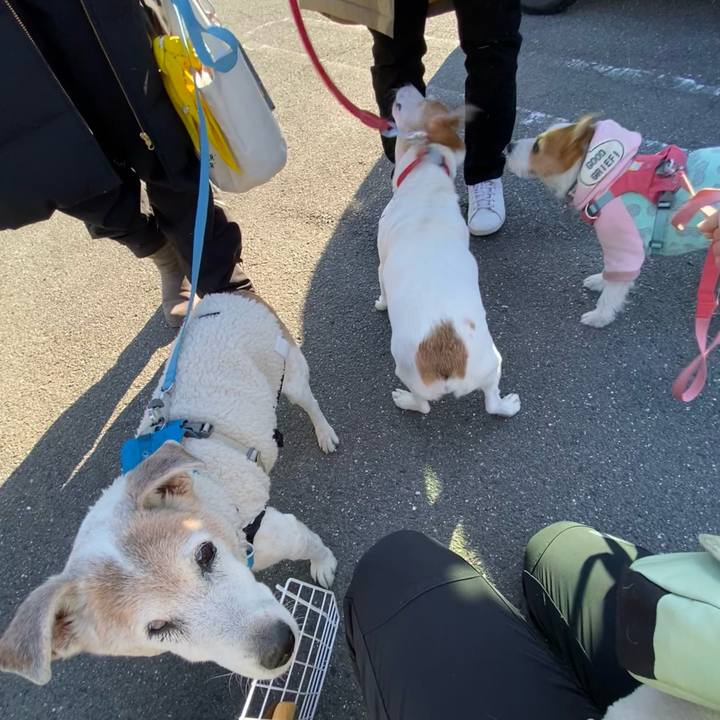 01f9ad2d 4aaa 4128 85ce 47613a555531 1705240677931