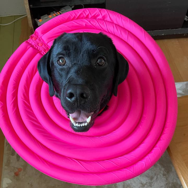 01f9bea4 bb61 4f48 be60 6e37166e7e22 1634190685059