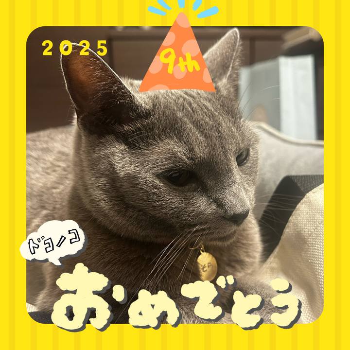 01f9befd 4ca9 481d 9000 ee813f894f91 1749359399076