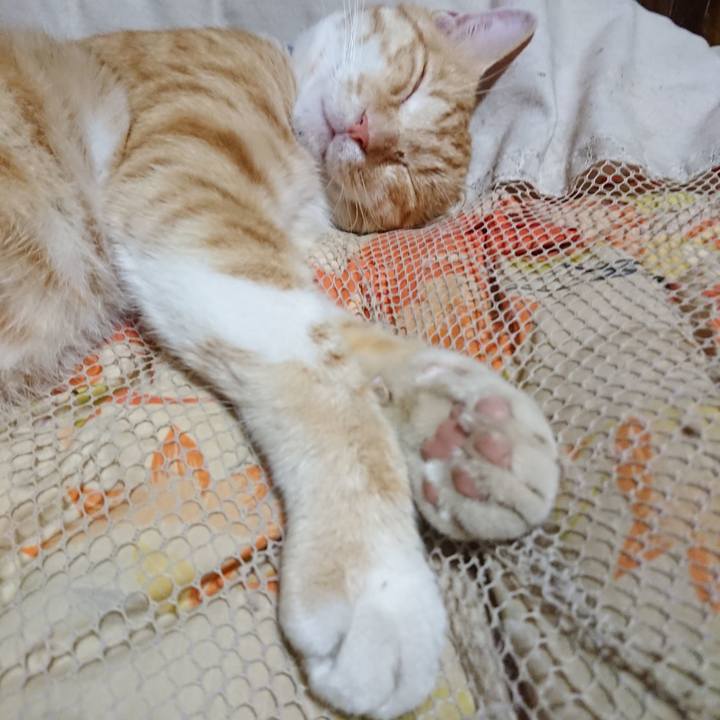 01f9d9ad 454d 4b64 8c68 2585cd2d77e2 1562504077687